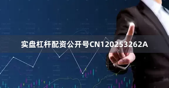 实盘杠杆配资公开号CN120253262A