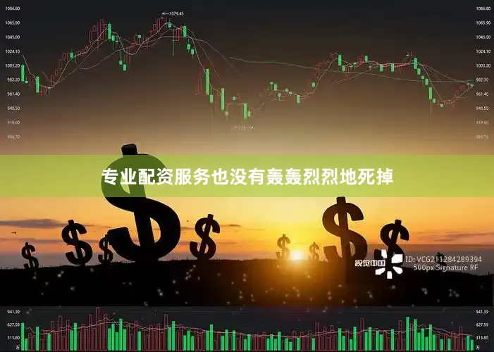 专业配资服务也没有轰轰烈烈地死掉